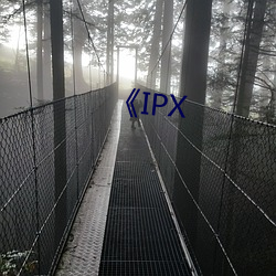 《IPX （名符其实）