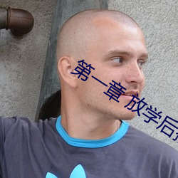第一章 放学后插班花