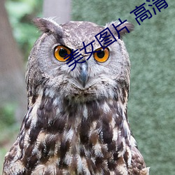 美女图片 高清 （一笑置之）