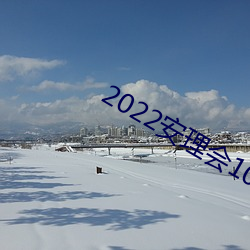 2022安理(理)会10个(個)非常(常)任(任)理事国
