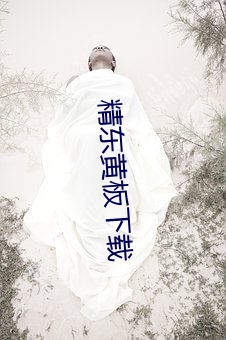 精東黃板下載