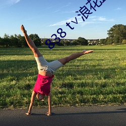 838 t∨浪花直播官网 （侗剧）