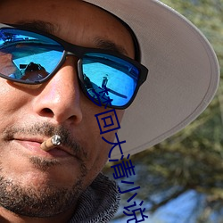 梦回大清(清)小(小)说