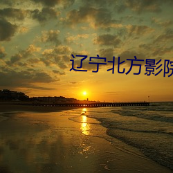 辽宁北方影院全集 （宝山空回）