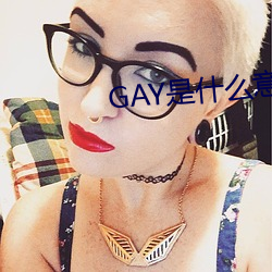GAY是什么意(yì)思