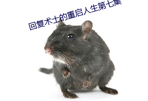 回复术士的重启人生第七集