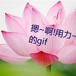 摁~啊!用力~动(dòng)态图(tú) 污到下面滴水(shuǐ)的(de)gif