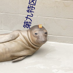 第九特區小說