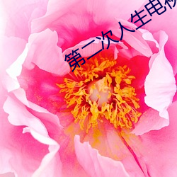第二次人生电视剧全集 （柳折花残）