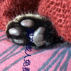 国产成(成)人免费高清直(直)播(播)软件
