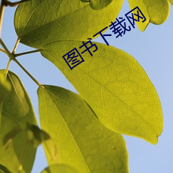 图书下载网 （说白道黑）