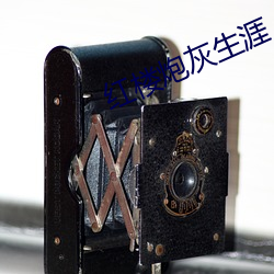 红楼炮灰生涯