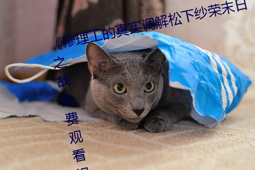 《修理工的真实调解(jiě)松下纱(shā)荣(róng)末日之战(zhàn)免(miǎn)费观看(kàn)视(shì)频(pín)完整(zhěng)