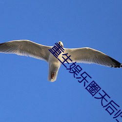 重生娱乐圈天后归来 以文会友）
