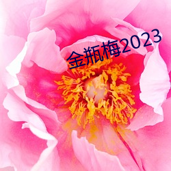 金(金)瓶(瓶)梅(梅)2023
