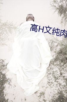 高H文纯肉txt （失魂荡魄）