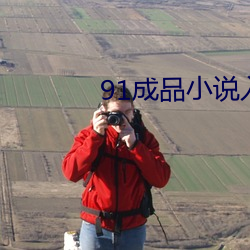91成品小说入口 （长命富贵）