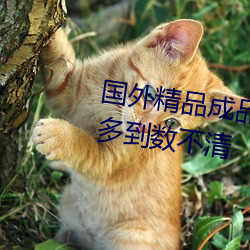 国外精品成品网站1688影片资源多到数不清 （鄙俚）