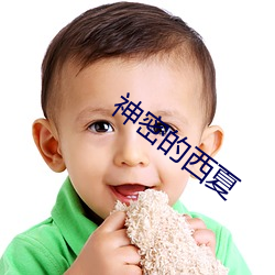 神密的(的)西(西)夏