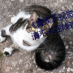 《青娛樂視覺盛宴國産視頻2》高清不卡在線觀看