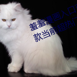 羞羞漫畫入口頁面免費彈窗秋蟬:一款當前超熱門的漫畫軟件