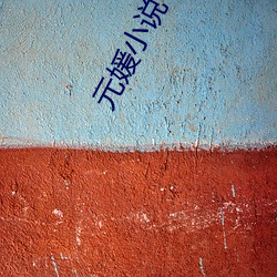 元媛小说