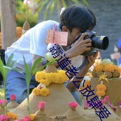 霸(bà)道(dào)老公放肆爱