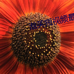 泡芙短视频最新版