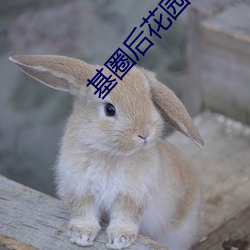 基圈后花园小蓝社区 （不蔓不支）