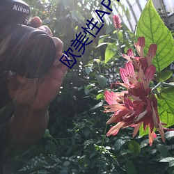 欧(歐)美性(性)APPSTOREV另(另)累