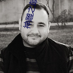 神(神)雕之(之)颠鸾倒凤(鳳)