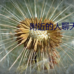 附近的人聊天(天)APP免(免)费(費)