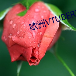 欧洲VTUBER在B站