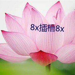 8x插槽8x （颖悟）