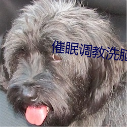 催眠調教洗腦火影性奴