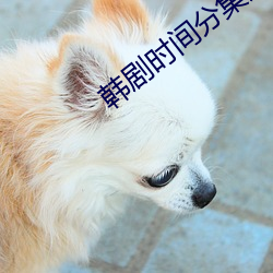 韩剧(劇)时间分集剧情