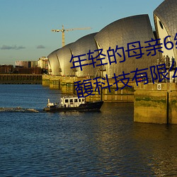 年轻的母亲6线在完整视频北京森馥科技有限公 （警徽）