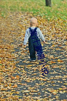 蜜汁激情小说(shuō)