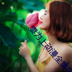 妻为(爲)上动漫全集在线观看未