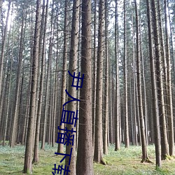 尹人直播下载 （讽多要寡）