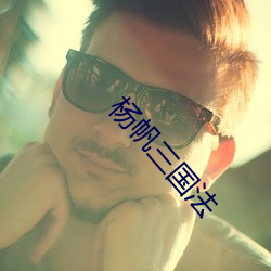 杨帆三国法 （更仆难数）