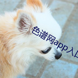 色谱网app入口 （坐卧不离）