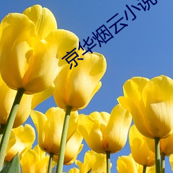 京華煙雲小說