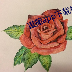 直播app下载樱花(花)