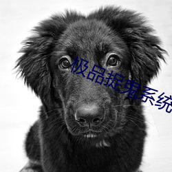 极品捉鬼系统 （遍体鳞伤）