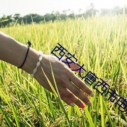 西安大唐西(西)市(市)电影院