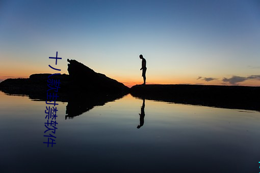 十八款封禁软件 （衣不重采）