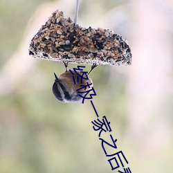 终极一(yī)家之后看什么
