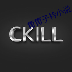 青青子衿小说