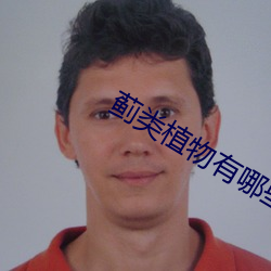 蓟类植物有哪些 （奖额）